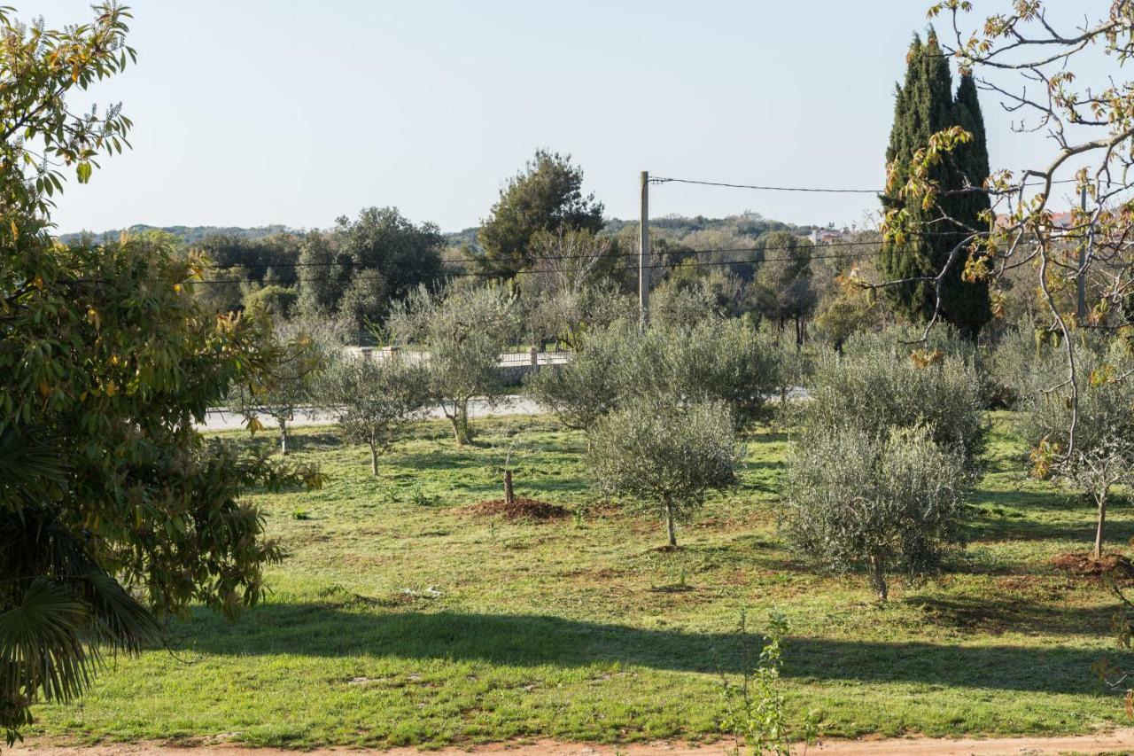 Studio Andrea Rovinj Dış mekan fotoğraf